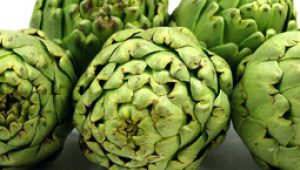 gartnerei-duftgarten-artischoke-vorschaubild