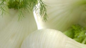 gartnerei-duftgarten-fenchel-blutorangen-rohkost-vorschaubild