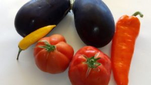 gartnerei-duftgarten-gebackene-aubergine-an-tomatenragout-vorschaubild