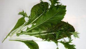 gartnerei-duftgarten-kaesuppe-mit-asia-mix-vorschaubild