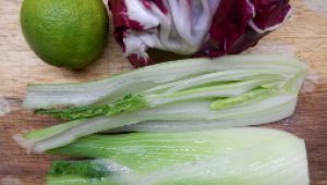 gartnerei-duftgarten-kunspriger-fenchelauflauf-und-lasange-mit-fenchel-vorschaubild