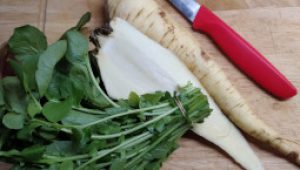 gartnerei-duftgarten-pastinaken-suppe-vorschaubild