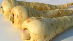 gartnerei-duftgarten-pastinkanen-gebacken-vorschaubild