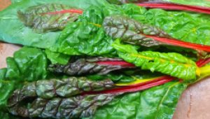 gartnerei-duftgarten-pie-mit-einer-fuelling-aus-buntem-mangold-vorschaubild