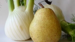 gartnerei-duftgarten-rezepte-fenchel-auflauf-vorschaubild
