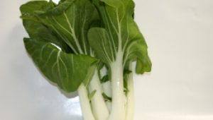 gartnerei-duftgarten-rezepte-pak-choi-vorschaubild