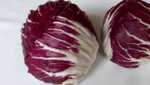 gartnerei-duftgarten-rezepte-radicchio-salat-vorschaubild