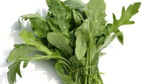 gartnerei-duftgarten-rezepte-rucola-mit-schinken-vorschaubild