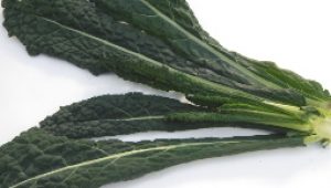 gartnerei-duftgarten-rezepte-schwarzhohl-eintopf-vorschaubild