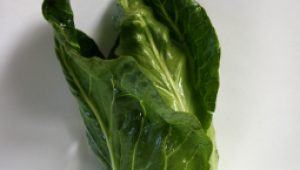 gartnerei-duftgarten-rezepte-spitzkohlgemüse-vorschaubild