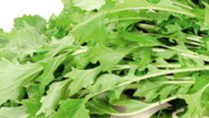 gartnerei-duftgarten-rezepte-stilmus-vorschaubild