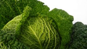 gartnerei-duftgarten-rezepte-wirsing-bandnudeln-vorschaubild